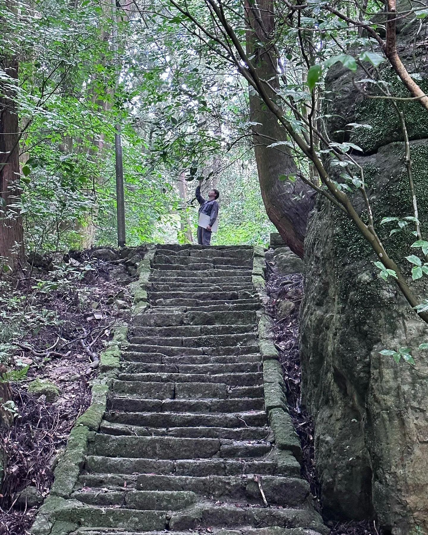 本日は仕事をサボりクワガタ取りに🪰