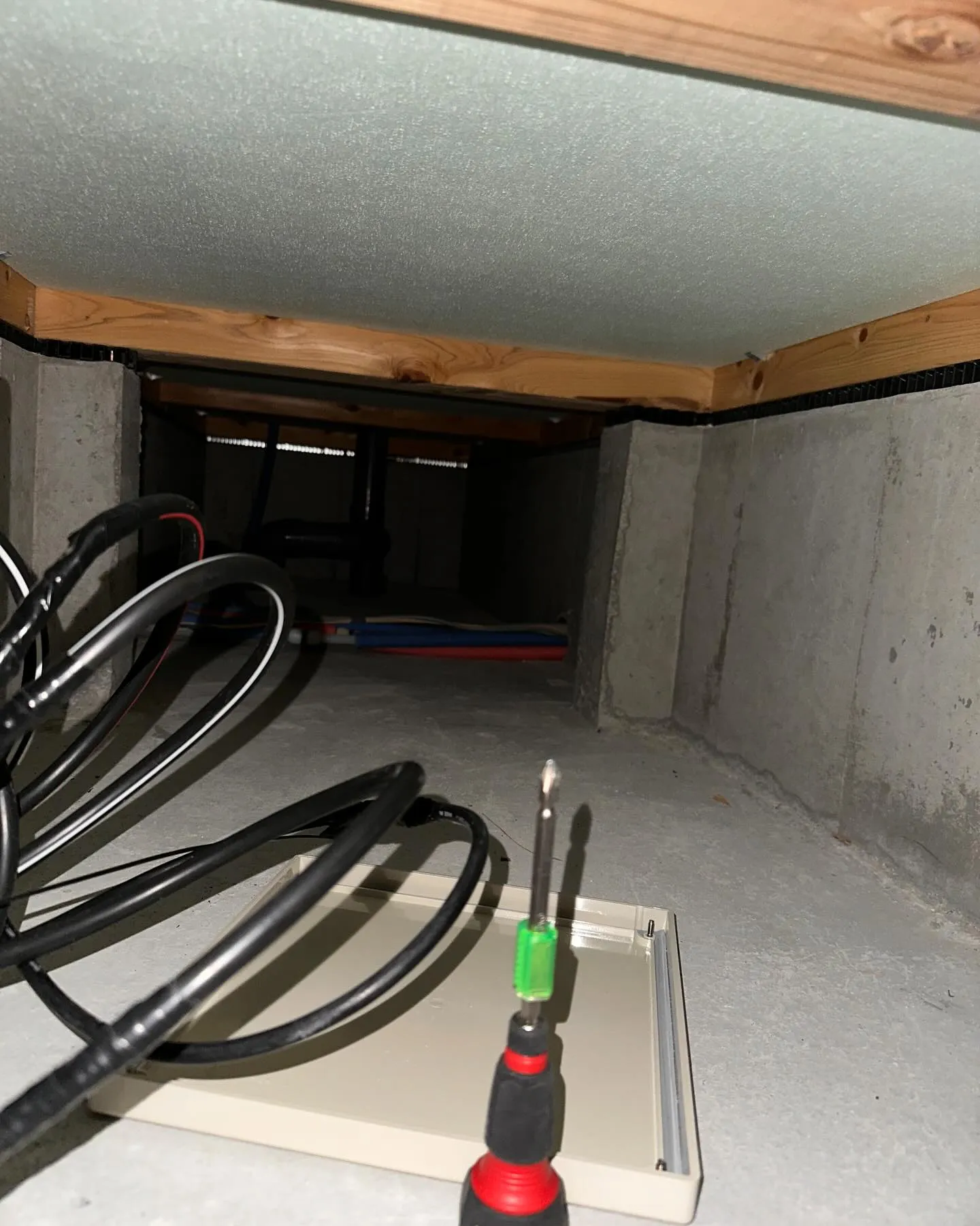 光開通作業にて✨