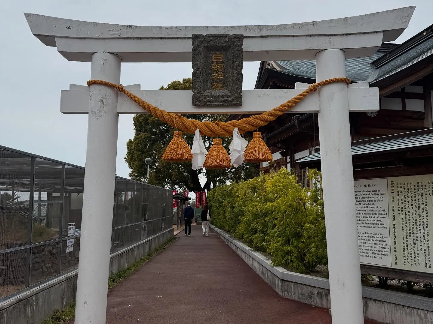 日本三景　宮島⛩️