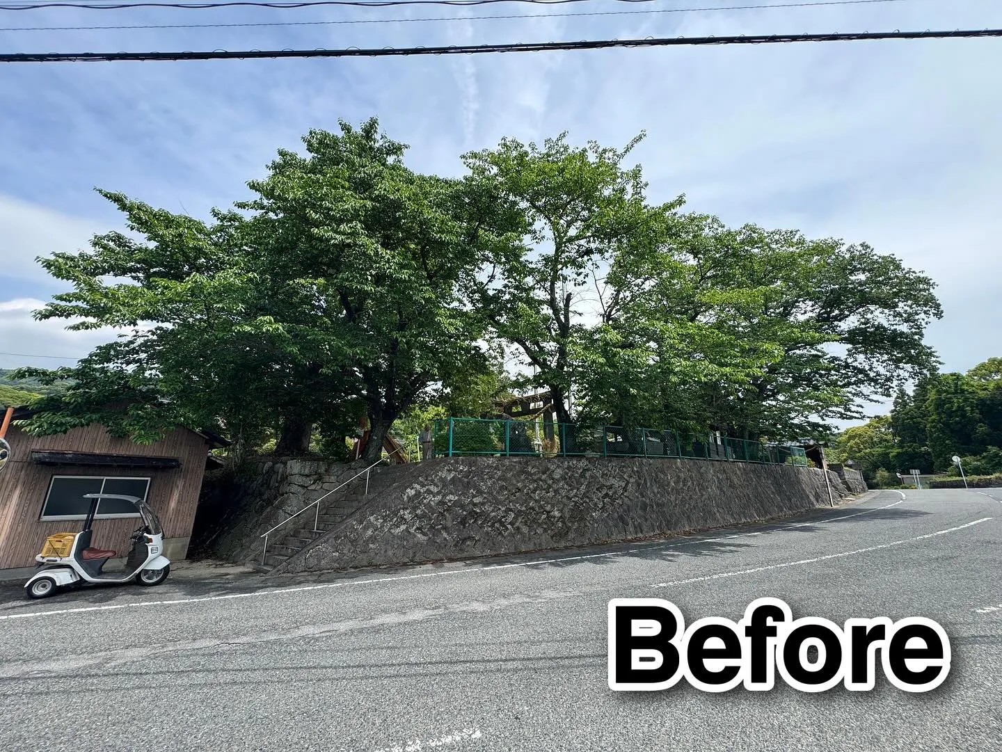 「上石動天満宮」樹木伐採🌲