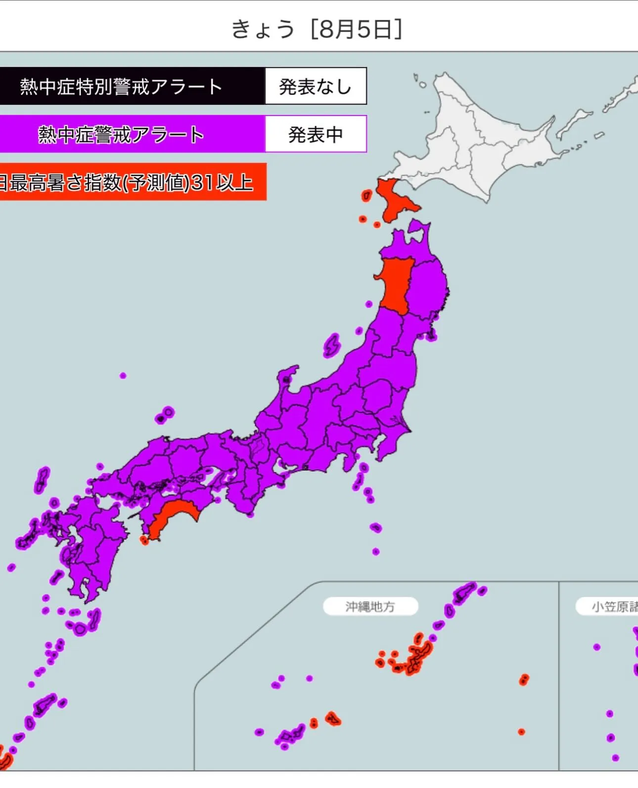 もうすぐ夏の熱い戦いが始まりますね⚾️