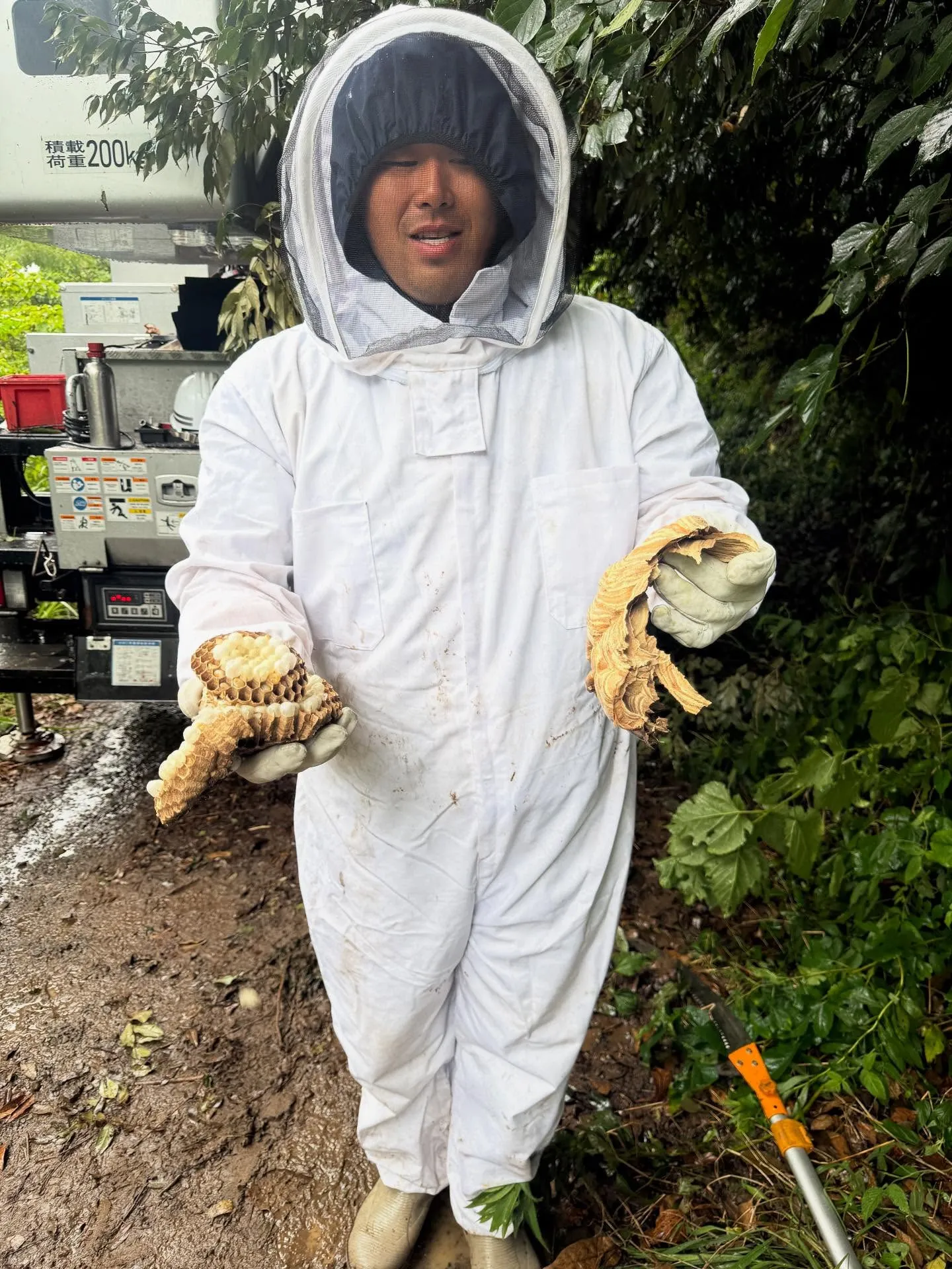 スズメ蜂の巣駆除🐝