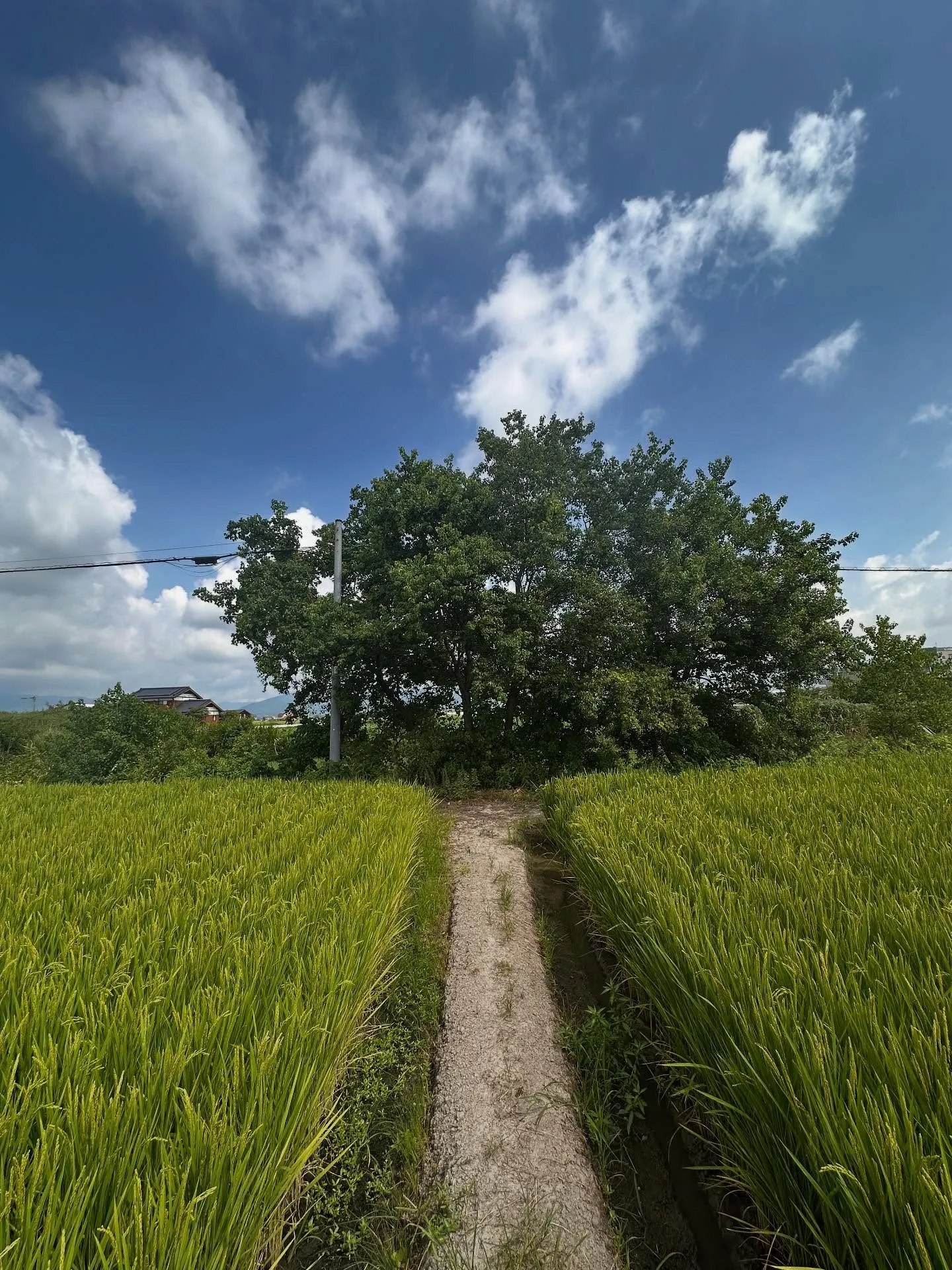 フレッツ光開通工事にて👷