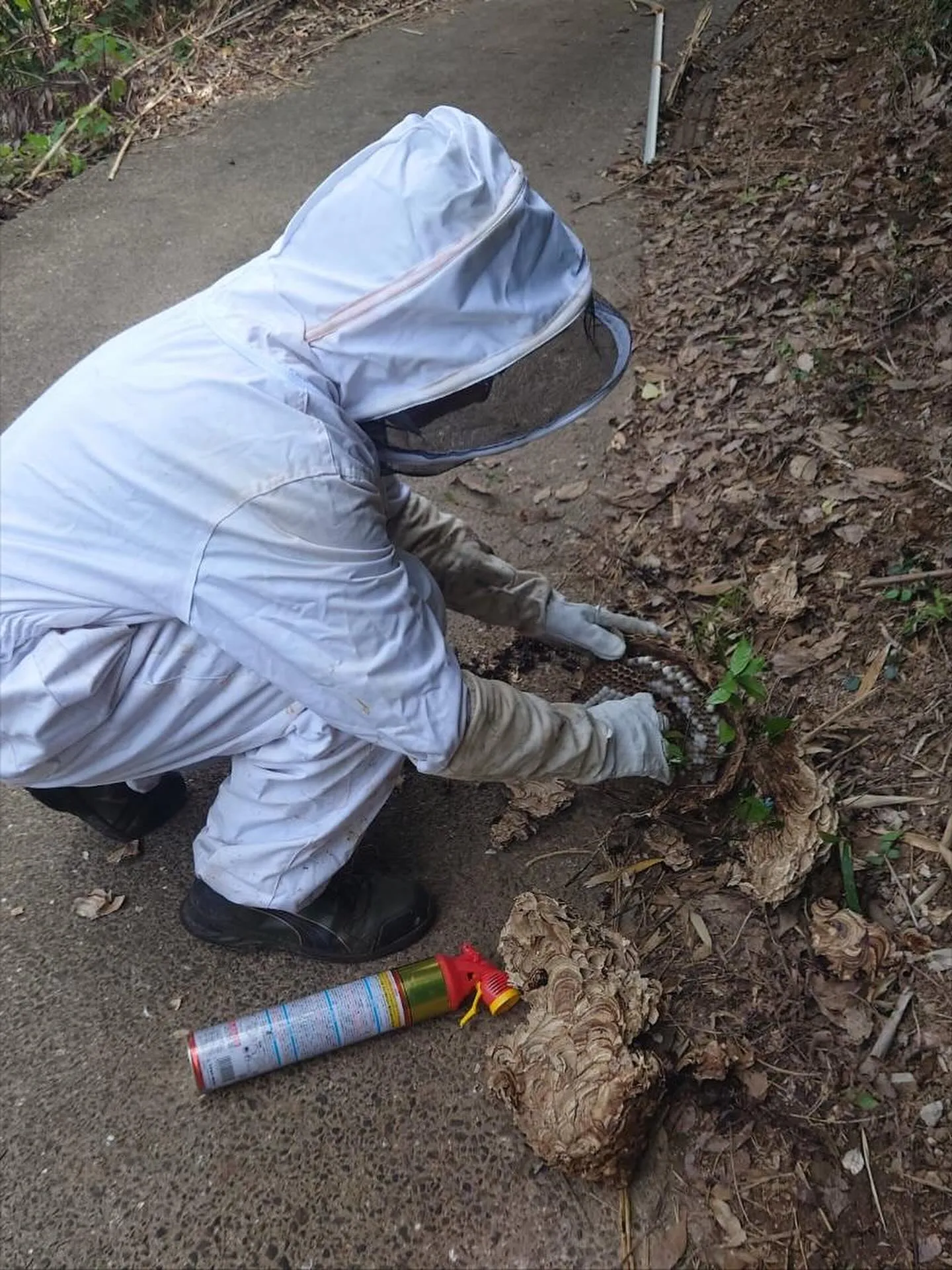 スズメバチの巣駆除パート2🐝