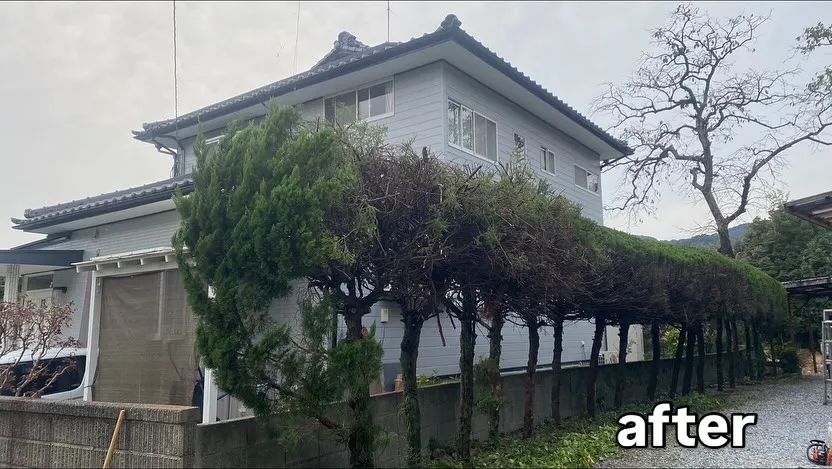 一般家庭での剪定作業を行なって来ました🌲✂︎