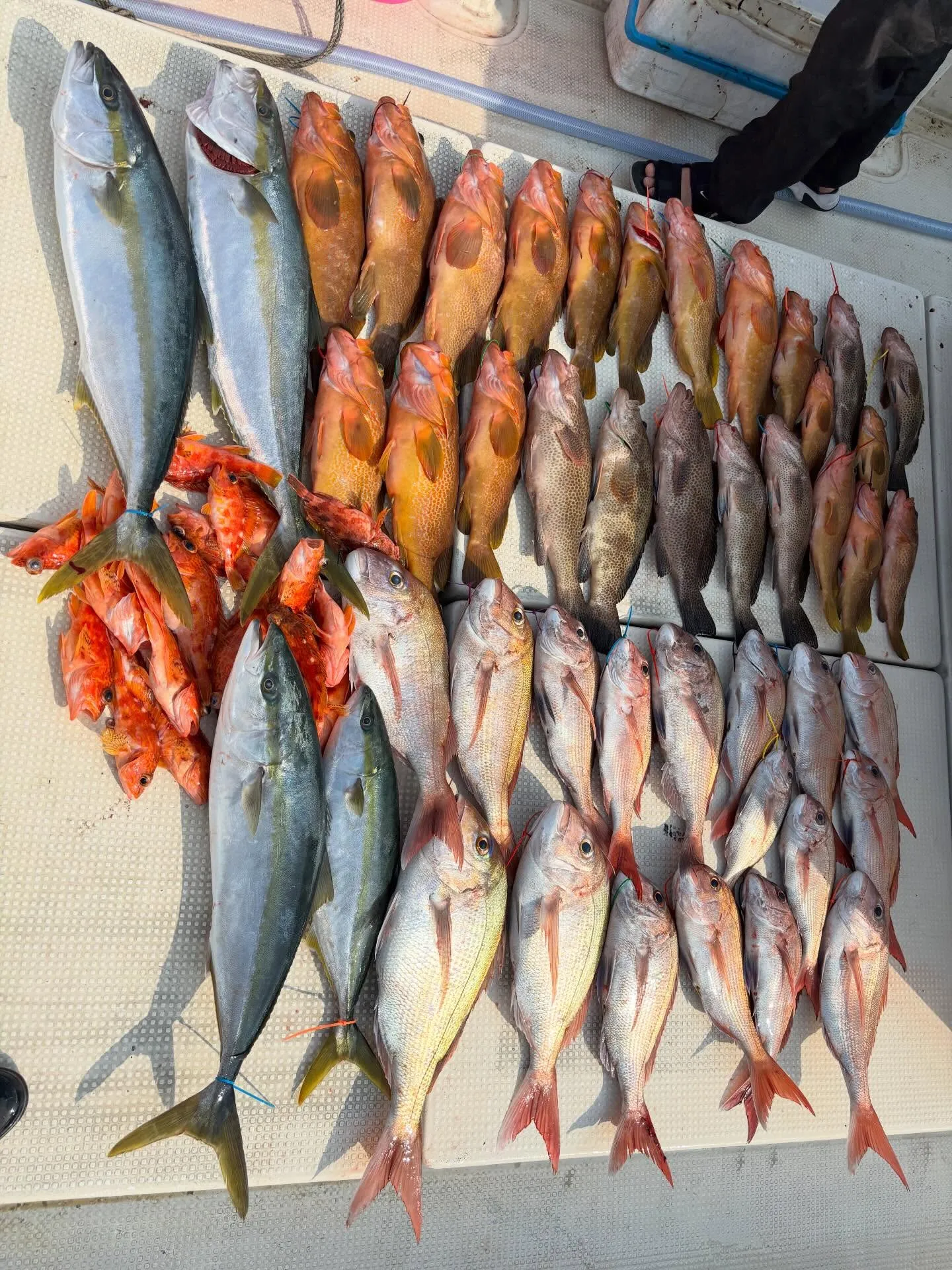 第1回ジー・テック釣り大会🎣