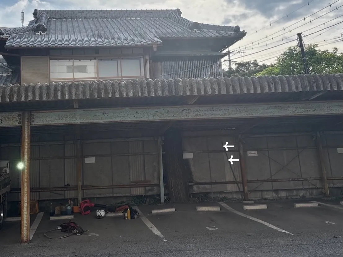 車庫を貫通していた木を伐採しました🌳🪚