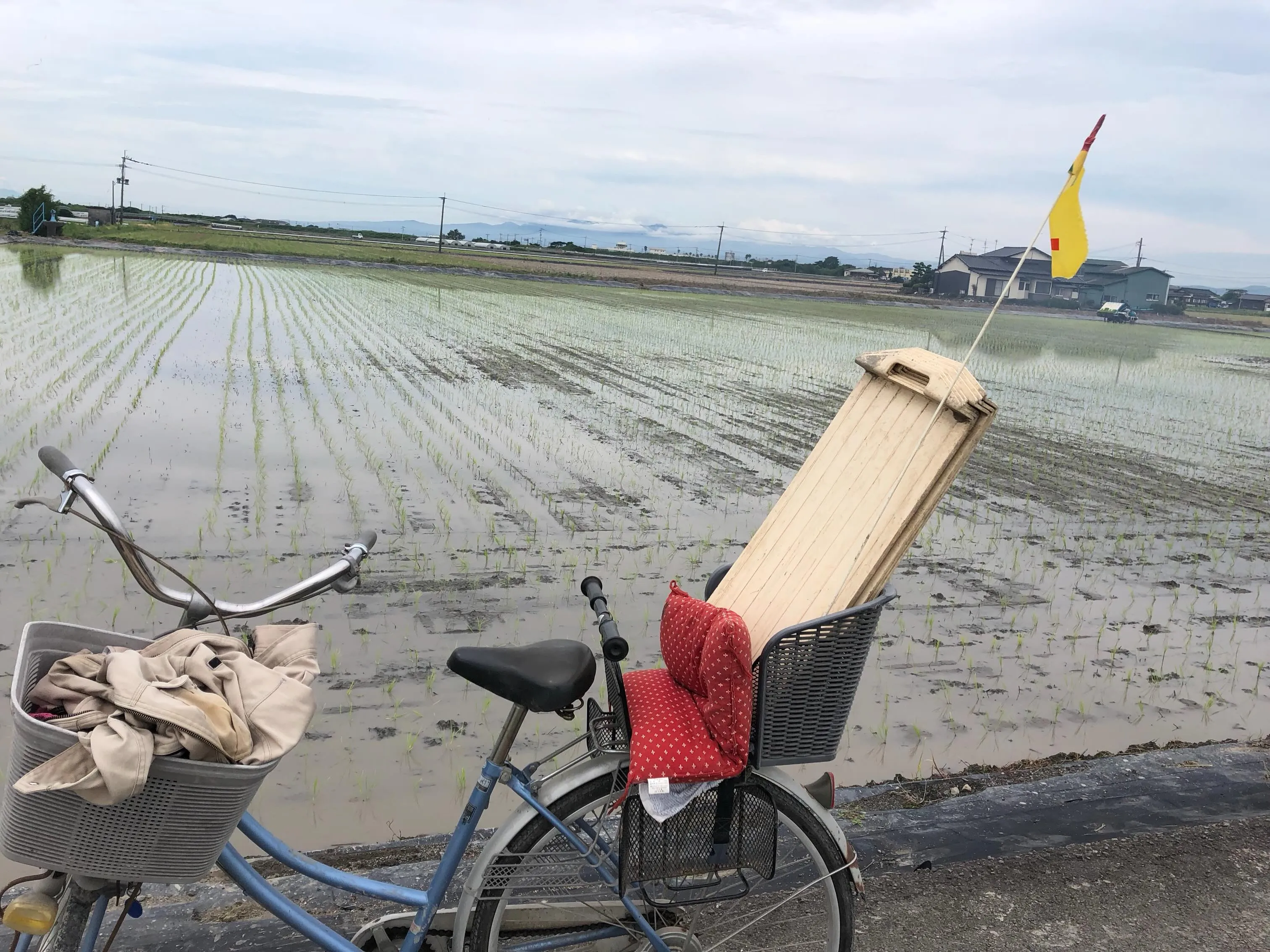 おはようございます🌞
