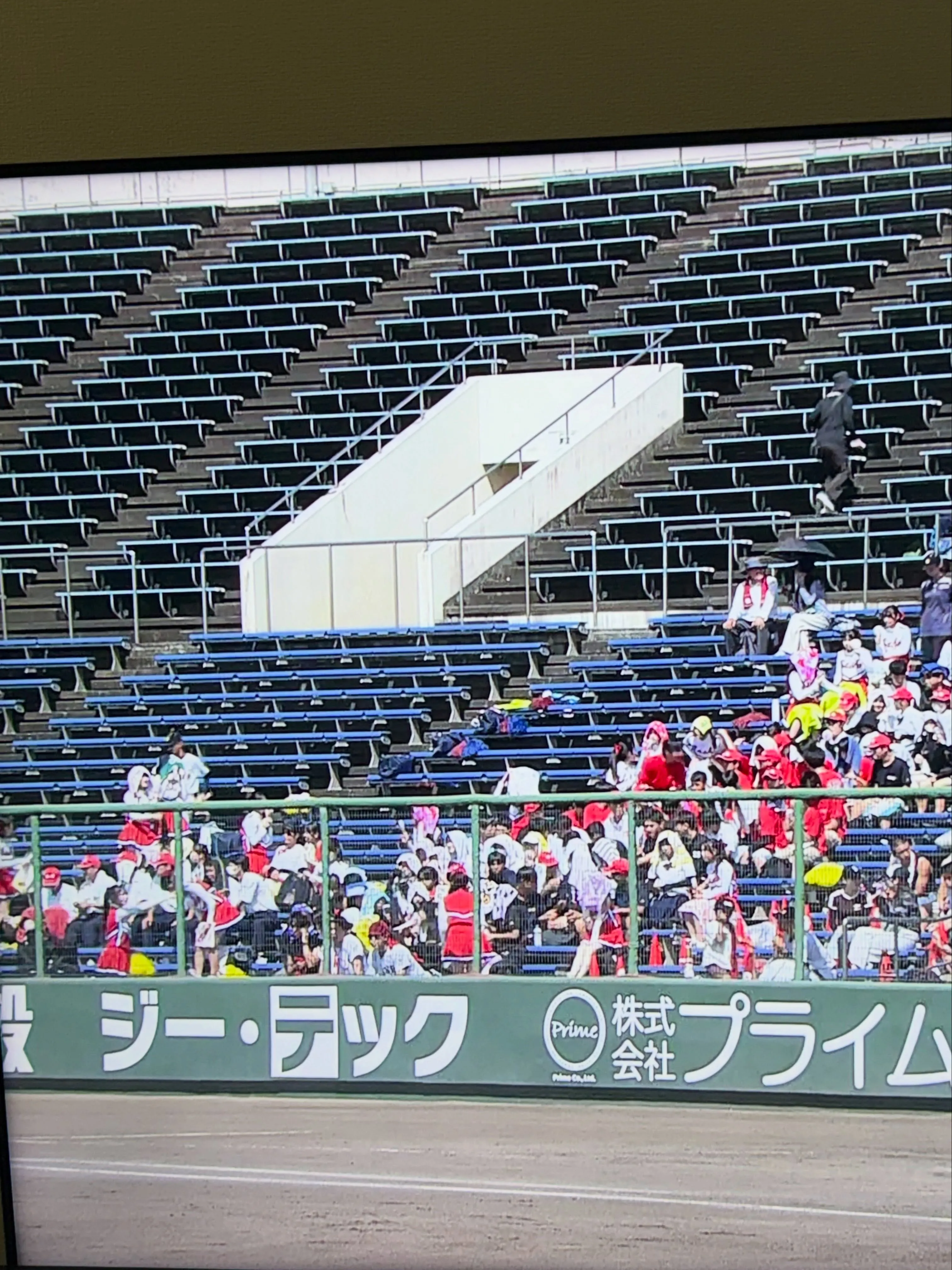 おはようございます🌞