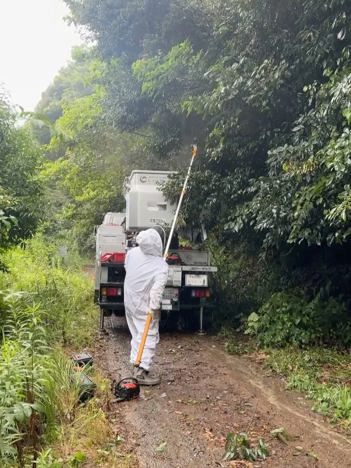 スズメ蜂の巣駆除🐝