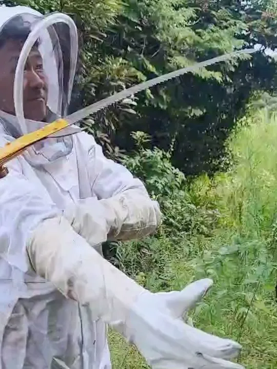 スズメバチの巣駆除パート2🐝